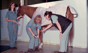 Murdoch University Vet students cleaning horse hooves (1998)