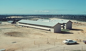 Murdoch University Veterinary Studies buildings (1976)