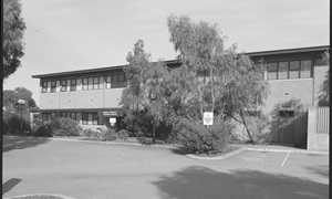 Vet hospital 20 April 1988
