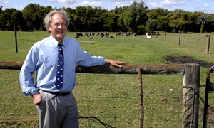 David Pethick