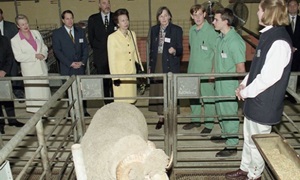 Princess Royal Princess Anne visits Murdoch Vet School in 2000