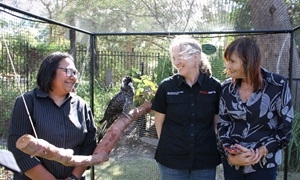 Barbara Hostalek, Kris Warren and Jade Maddox with a Carnaby’s cockatoo.