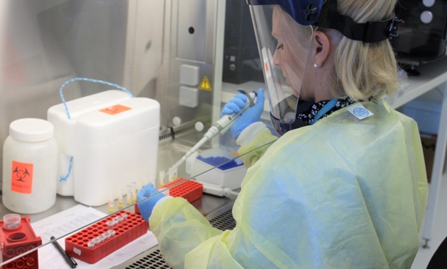 Dr Samantha Lodge, preparing COVID19 samples at the ANPC